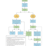 First Aid Clinical Algorithms for the USMLE Step 2 CK 1st Edicion 2024