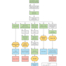 First Aid Clinical Algorithms for the USMLE Step 2 CK 1st Edicion 2024