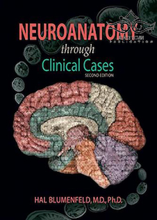 عکس Neuroanatomy through Clinical Cases, 2nd Edition2010 عصب کشی از طریق موارد بالینی