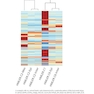 The Biology of Cancer Third Edition 2023