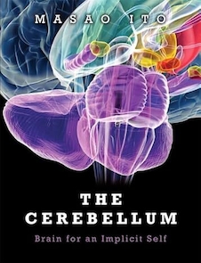 عکس The Cerebellum: Brain for an Implicit Self 1st Edition