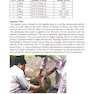 Veterinary Clinical Pathology and Laboratory Diagnosis (Fully Illustrated)