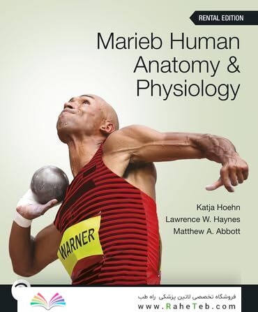 Marieb Human Anatomy & Physiology (12th Edition)
