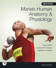 عکس Marieb Human Anatomy - Physiology (12th Edition)