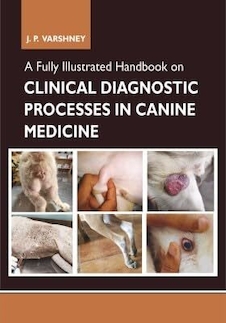 عکس A Fully Illustrated Handbook on Clinical Diagnostic Processes in Canine Medicine