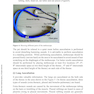 A Fully Illustrated Handbook on Clinical Diagnostic Processes in Canine Medicine