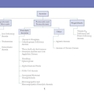 LANGE Pathology Flash Cards, Fourth Edition