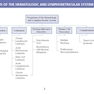 LANGE Pathology Flash Cards, Fourth Edition