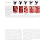 Advanced Zygomatic Implants: The Zaga Concept 1st Edition