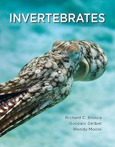 عکس Invertebrates 4th Edition