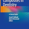ulk Fill Resin Composites in Dentistry: A Clinical Guide 1st ed