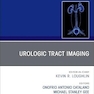 Urologic Tract Imaging, An Issue of Urologic Clinics of North America