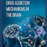 Drug Addiction Mechanisms in the Brain