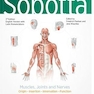 Sobotta Learning Tables of Muscles, Joints and Nerves