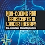 Non-Coding RNA Transcripts in Cancer Therapy: Pre-Clinical and Clinical Implications