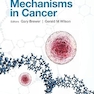 Rna-based Mechanisms In Cancer