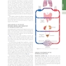 Guyton and Hall Textbook of Medical Physiology (Guyton Physiology) 15th Edition