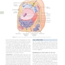 Guyton and Hall Textbook of Medical Physiology (Guyton Physiology) 15th Edition