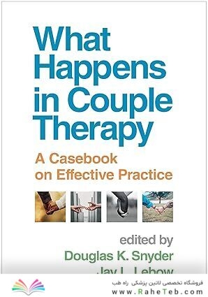 What Happens in Couple Therapy: A Casebook on Effective Practice 1st Edition