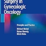 Cancer Field Surgery in Gynecologic Oncology: Principles and Practice