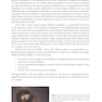 2024-2025 Basic and Clinical Science Course, Section 11: Lens and Cataract