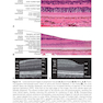 2024-2025 Basic and Clinical Science Course, Section 12: Retina and Vitreous