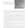 2024-2025 Basic and Clinical Science Course, Section 12: Retina and Vitreous