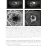 2024-2025 Basic and Clinical Science Course, Section 12: Retina and Vitreous