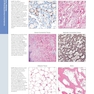Diagnostic Pathology: Normal Histology 3rd Edition