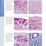 Diagnostic Pathology: Normal Histology 3rd Edition