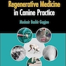 Stem Cell-Based Regenerative Medicine in Canine Practice 1st Edition