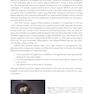 2025-2026 Basic and Clinical Science Course, Section 11: Lens and Cataract