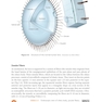 2025-2026 Basic and Clinical Science Course, Section 11: Lens and Cataract