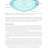 2025-2026 Basic and Clinical Science Course, Section 11: Lens and Cataract
