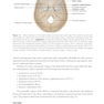 2025-2026 Basic and Clinical Science Course, Section 5: Neuro-Ophthalmology