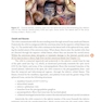 2025-2026 Basic and Clinical Science Course, Section 5: Neuro-Ophthalmology