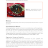 2025-2026 Basic and Clinical Science Course, Section 8: External Disease and Cornea