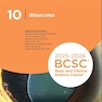2025-2026 Basic and Clinical Science Course, Section 10: Glaucoma
