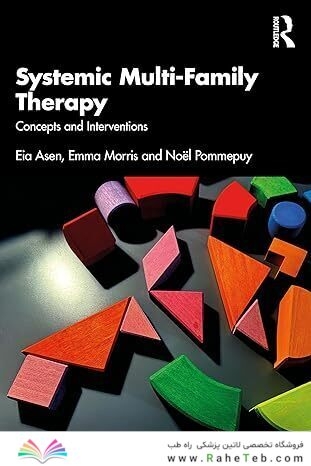 Systemic Multi-Family Therapy 1st Edition