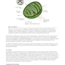 MCAT Biology Review 2026-2027