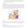 MCAT Biology Review 2026-2027