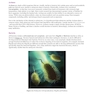 MCAT Biology Review 2026-2027