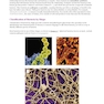 MCAT Biology Review 2026-2027