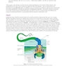 MCAT Biology Review 2026-2027