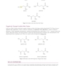 MCAT Biochemistry Review 2026-2027