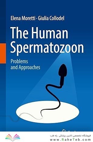 The Human Spermatozoon: Problems and Approaches
