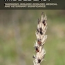 Ticks of the Middle East: Taxonomy, Biology, Ecology, Medical, and Veterinary Significance 1st Edition