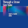 Flow Controlled Ventilation Mode Through a Straw Size Tube