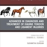 Equine Tendons and Ligaments, An Issue of Veterinary Clinics of North America: Equine Practice