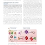 Cellular and Molecular Immunology 11th Edition